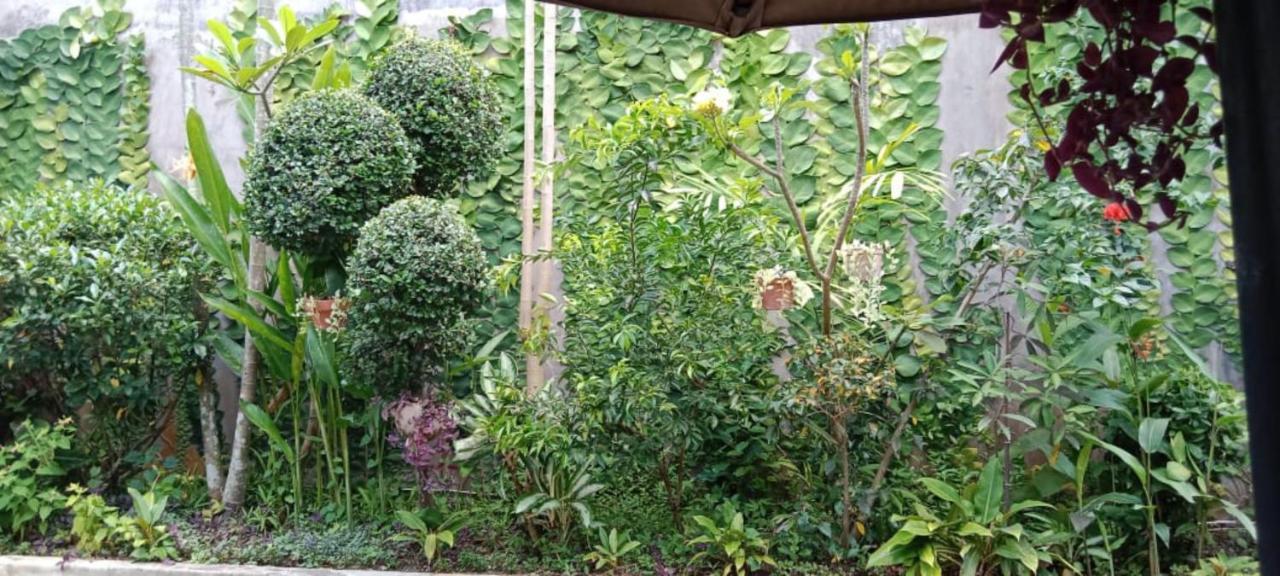 Coliving Bali Sweet Home Kost Lengkap Di Tabanan Kota Екстериор снимка