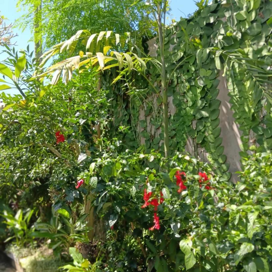 Coliving Bali Sweet Home Kost Lengkap Di Tabanan Kota Екстериор снимка