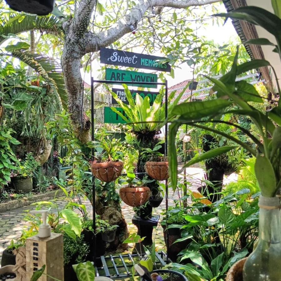 Coliving Bali Sweet Home Kost Lengkap Di Tabanan Kota Екстериор снимка