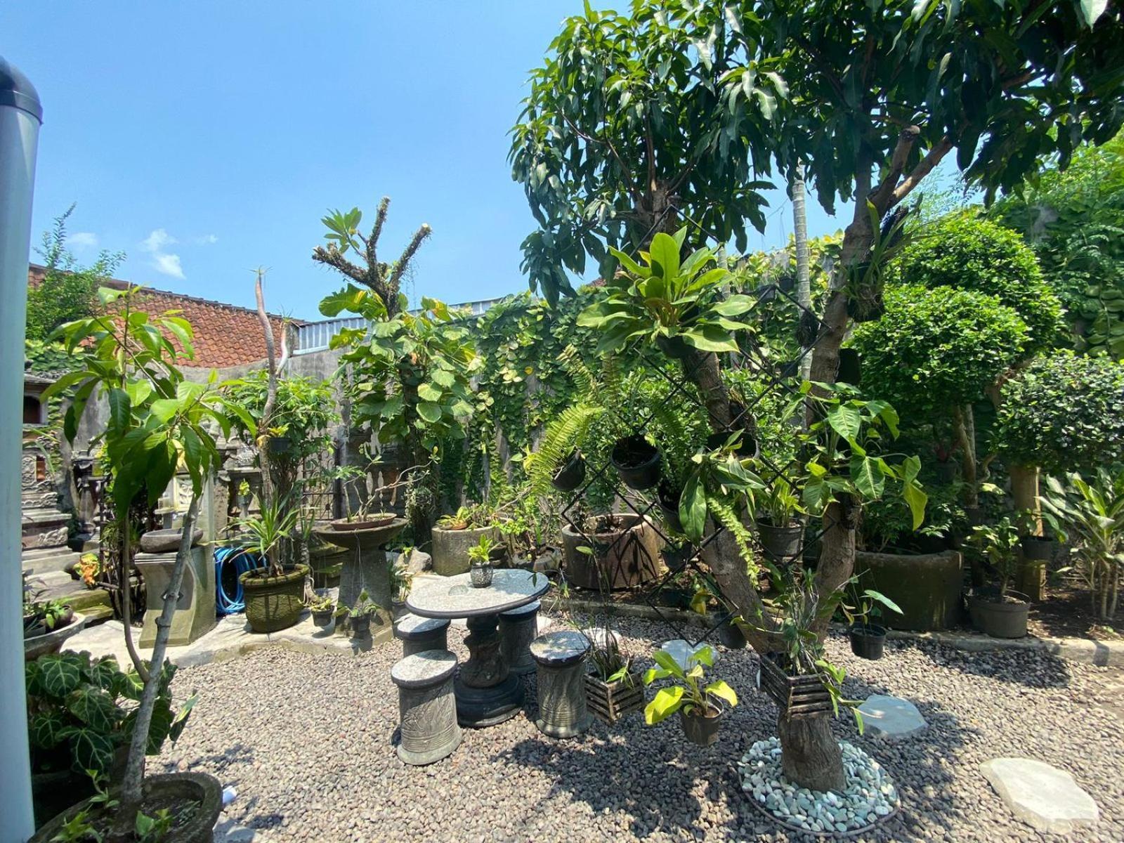 Coliving Bali Sweet Home Kost Lengkap Di Tabanan Kota Екстериор снимка