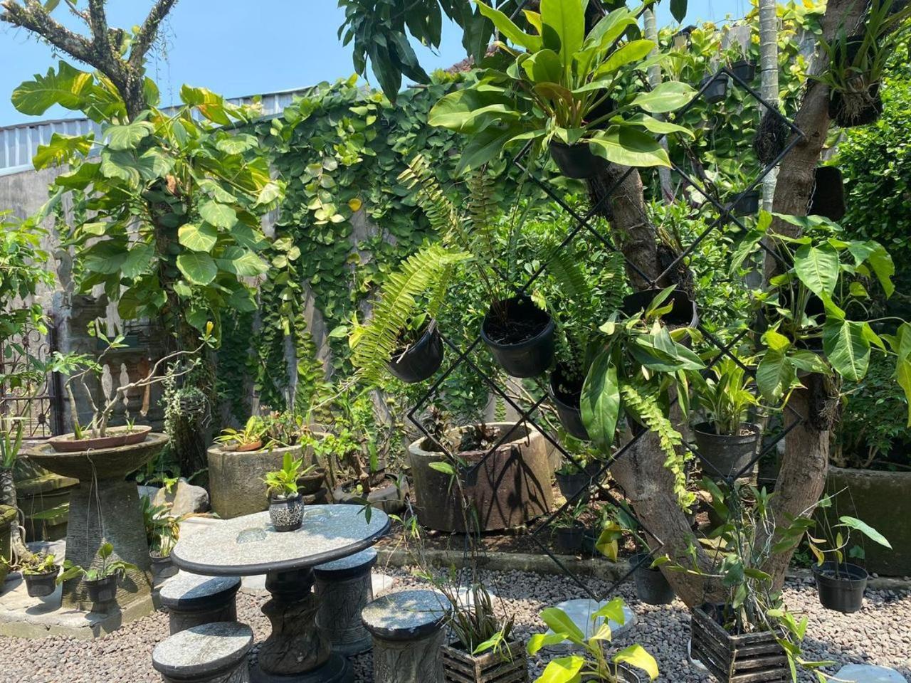 Coliving Bali Sweet Home Kost Lengkap Di Tabanan Kota Екстериор снимка
