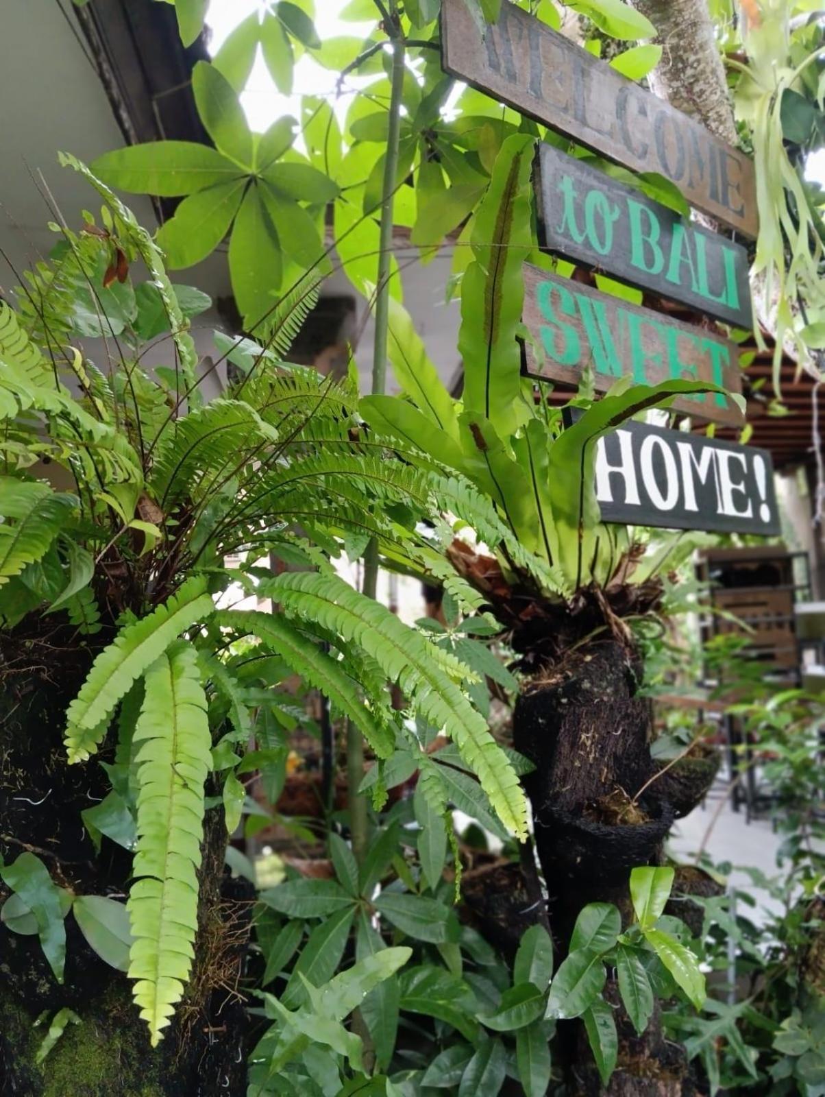 Coliving Bali Sweet Home Kost Lengkap Di Tabanan Kota Екстериор снимка